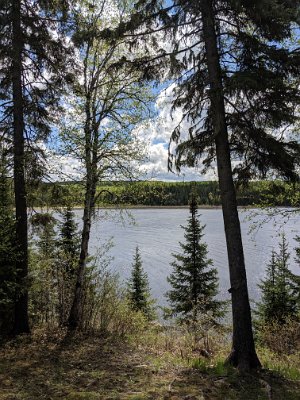 Ted Wenzel - IMG_20190601_112837.jpg